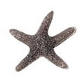 Cast Starfish Figurine